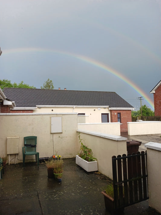 "The Rainbow". Photograph by Damien Leech