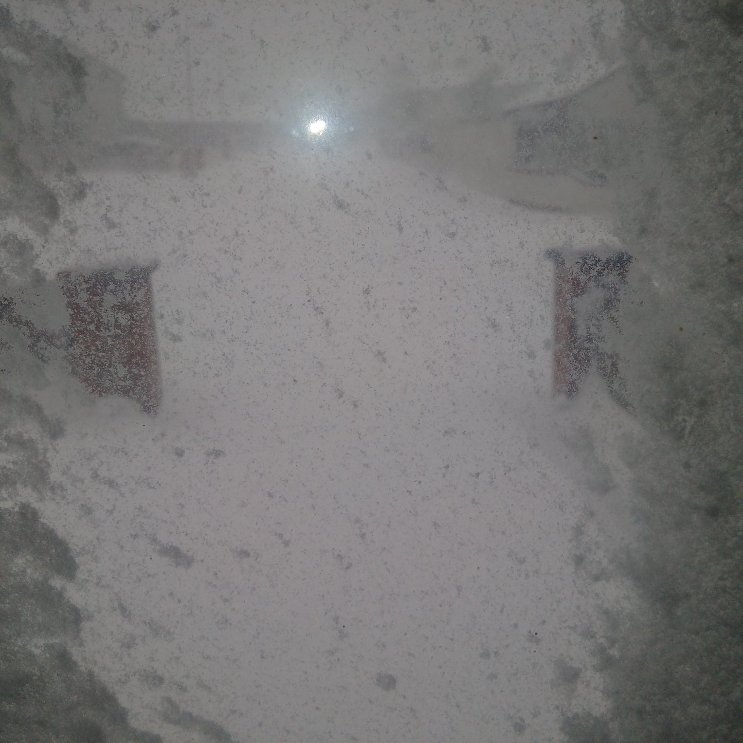 Snow Storm in Ireland. Photograph by Mr. Damien Leech